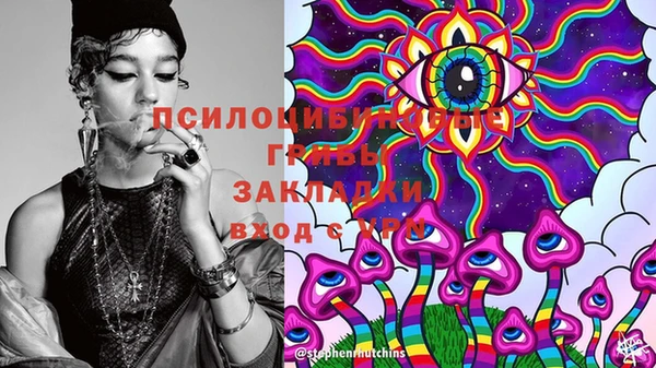 шишки Балабаново