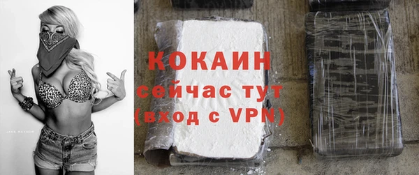шишки Балабаново