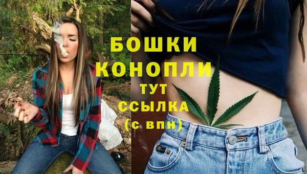 шишки Балабаново