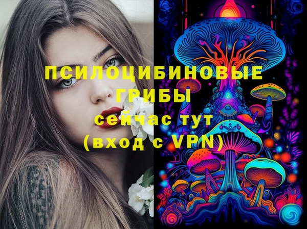 шишки Балабаново