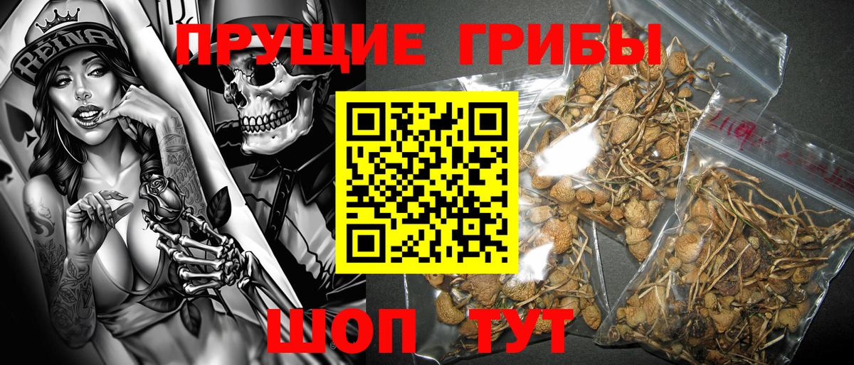 Псилоцибиновые грибы мицелий  Вход с VPN  Зима 
