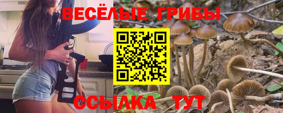 Галлюциногенные грибы мицелий Зима